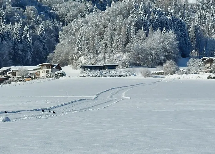 度假居 Hohlbichlgut 比绍夫斯霍芬